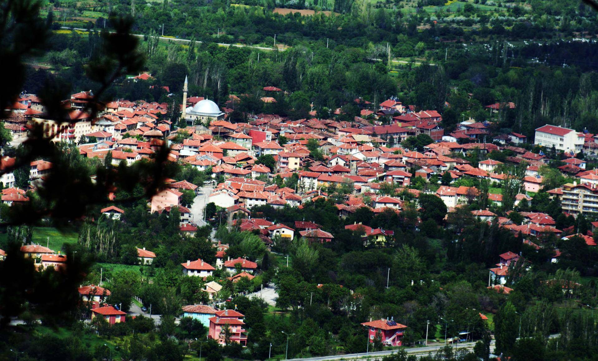 Eldivan Hurdacı Hizmetleri
