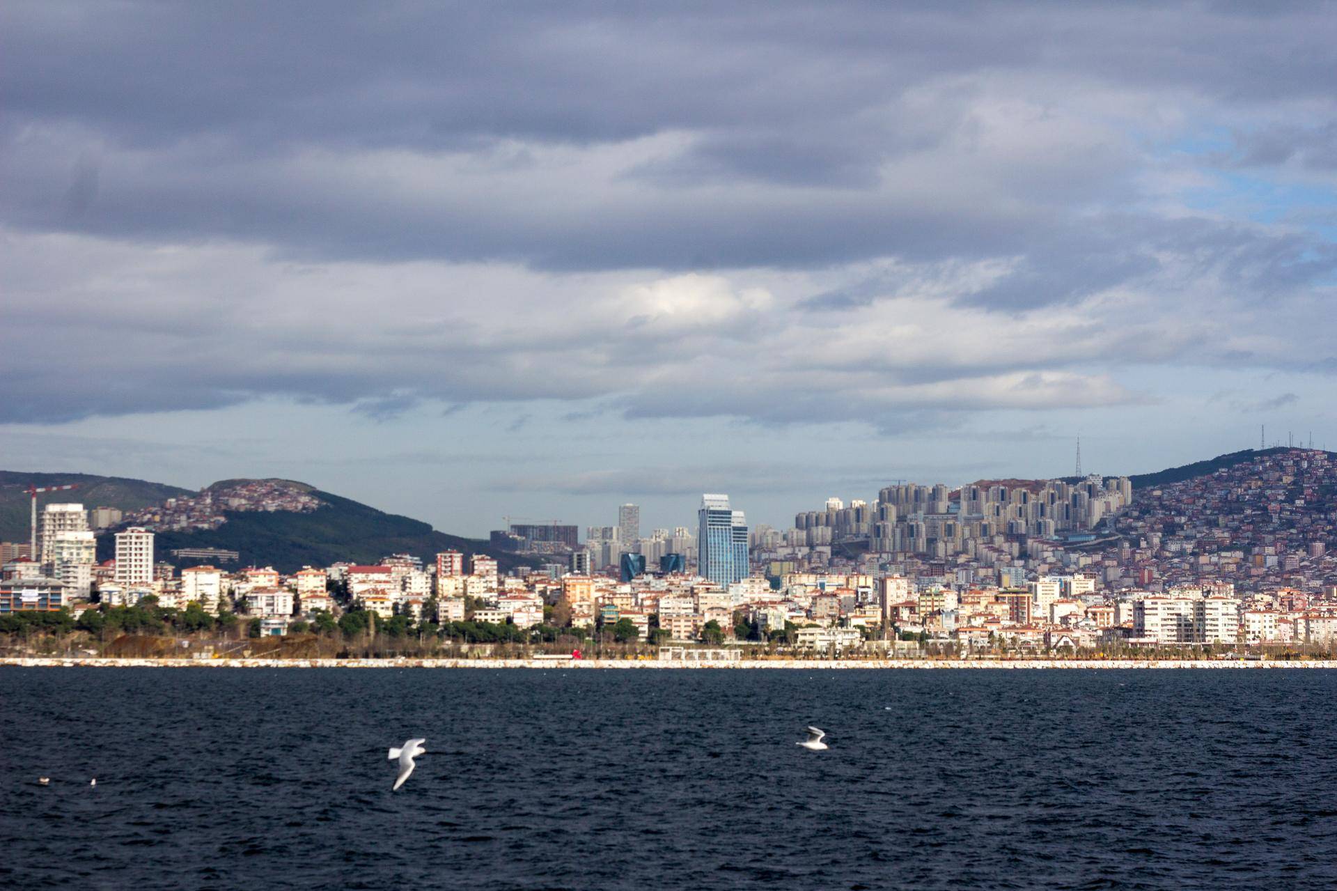 Maltepe Hurdacı Hizmetleri